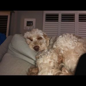 Meet your Posher, Colleen